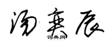 朱锡荣汤奕辰草书个性签名怎么写