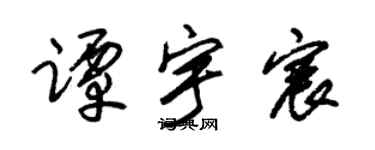 朱锡荣谭宇宸草书个性签名怎么写