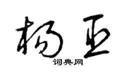 曾庆福杨臣草书个性签名怎么写