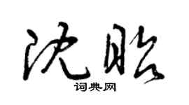 曾庆福沈昭草书个性签名怎么写