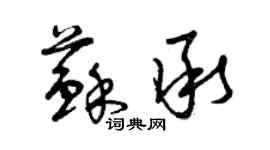 曾庆福苏承草书个性签名怎么写