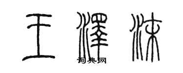 陈墨王泽沫篆书个性签名怎么写
