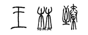 陈墨王林臻篆书个性签名怎么写