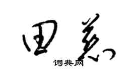 梁锦英田慈草书个性签名怎么写