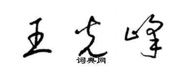 梁锦英王光峰草书个性签名怎么写