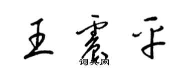 梁锦英王震平草书个性签名怎么写