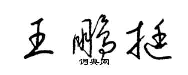 梁锦英王鹏挺草书个性签名怎么写