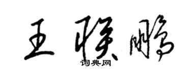 梁锦英王联鹏草书个性签名怎么写