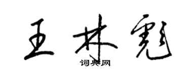梁锦英王林彪草书个性签名怎么写