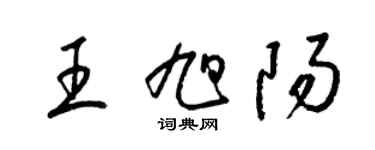 梁锦英王旭阳草书个性签名怎么写