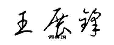 梁锦英王展锋草书个性签名怎么写