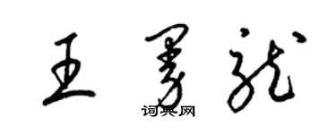 梁锦英王曼龙草书个性签名怎么写