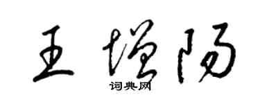 梁锦英王增阳草书个性签名怎么写
