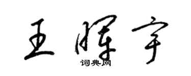 梁锦英王晖宇草书个性签名怎么写