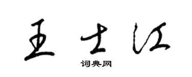 梁锦英王士江草书个性签名怎么写