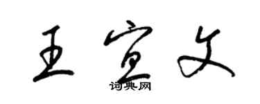 梁锦英王宜文草书个性签名怎么写