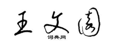 梁锦英王文园草书个性签名怎么写