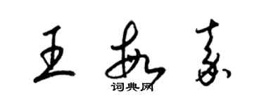 梁锦英王敏嘉草书个性签名怎么写