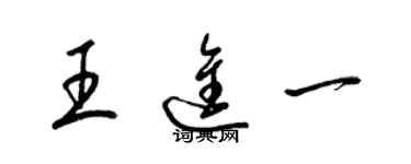梁锦英王进一草书个性签名怎么写