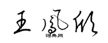 梁锦英王凤欣草书个性签名怎么写