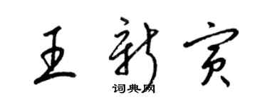 梁锦英王新寅草书个性签名怎么写