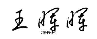 梁锦英王晖晖草书个性签名怎么写