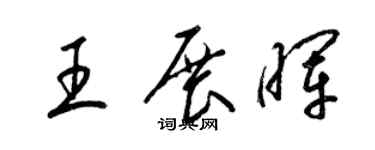 梁锦英王展晖草书个性签名怎么写