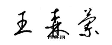 梁锦英王森兰草书个性签名怎么写