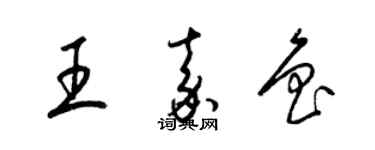 梁锦英王嘉鲁草书个性签名怎么写