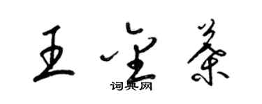梁锦英王金叶草书个性签名怎么写