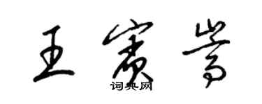 梁锦英王宾嵩草书个性签名怎么写