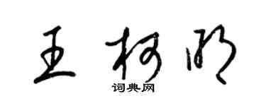 梁锦英王柯明草书个性签名怎么写