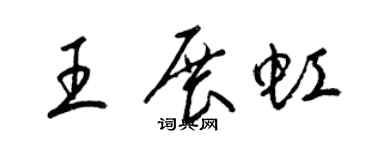 梁锦英王展虹草书个性签名怎么写