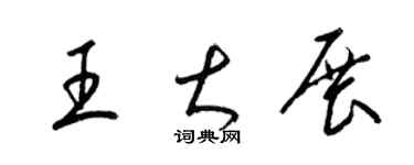 梁锦英王大展草书个性签名怎么写