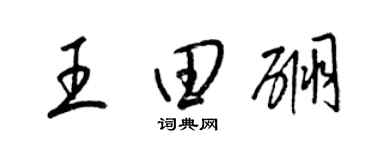 梁锦英王田硼草书个性签名怎么写