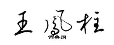 梁锦英王凤柱草书个性签名怎么写