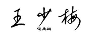 梁锦英王少梅草书个性签名怎么写
