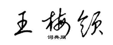 梁锦英王梅领草书个性签名怎么写