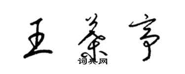 梁锦英王叶亭草书个性签名怎么写