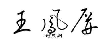 梁锦英王凤屏草书个性签名怎么写