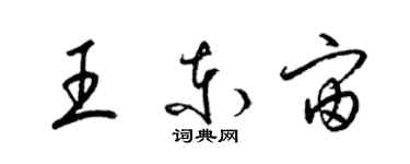 梁锦英王东宙草书个性签名怎么写
