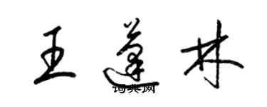 梁锦英王蓬林草书个性签名怎么写