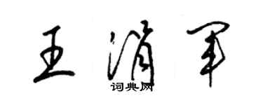 梁锦英王涓军草书个性签名怎么写
