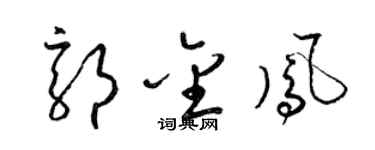 梁锦英郭金凤草书个性签名怎么写