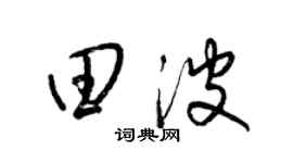 梁锦英田波草书个性签名怎么写