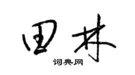 梁锦英田林草书个性签名怎么写