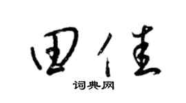 梁锦英田佳草书个性签名怎么写