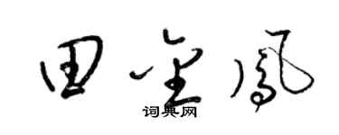 梁锦英田金凤草书个性签名怎么写