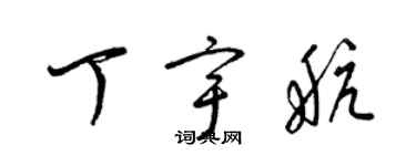 梁锦英丁宇航草书个性签名怎么写