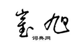 梁锦英崔旭草书个性签名怎么写